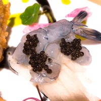 肉割烹 無膳福助 - 海老のブルーが綺麗