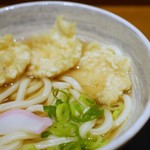 香川 さぬき麺業 - オリーブ鶏天うどん