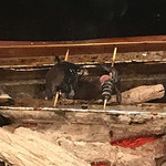 うなぎ屋酒坊・画荘 越後屋 - 