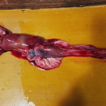 うなぎ屋酒坊・画荘 越後屋 - 