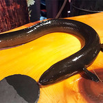 うなぎ屋酒坊・画荘 越後屋 - 