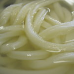 さか枝うどん - 釜揚げの麺