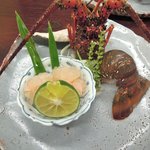 五峯庵 - コース(\10,500)の造り：伊勢海老の造り