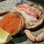 Kandashimpachi - 香箱蟹
