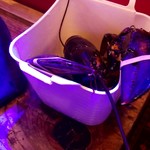 活海老バル orb - オマール海老840グラム