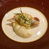 ロドラント ミノルナキジン - 