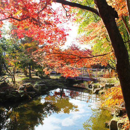多夢炉（TAMURO） - あやめ公園（食堂）の写真