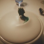 Installation Table ENSO L'asymetrie du calme - 【魚卵】器･･･ピンボケ(泣)