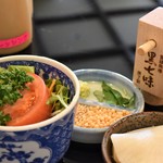 とん唐てん - サラダや薬味達