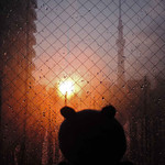 ヴィアイン - ぐっすり眠って、あっという間に朝～
      朝日がとってもきれい。