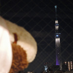 ヴィアイン - おっ、ボキらが泊まるヴァイ～～ン浅草のお部屋からも
      スカイツリーがよく見えるぞ。
      
      ちびつぬ「ヴィアイン浅草よ。つぬっこちゃん」
      