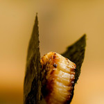 日本橋蛎殻町 すぎた - 磯辺焼き