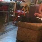 Red Tomato Restaurant & Lounge - 