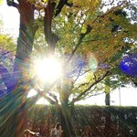 秩父宮ラグビー場 売店 - 