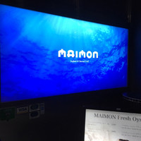 MAIMON GINZA - 