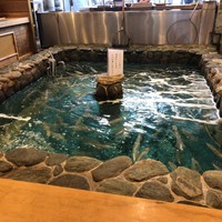 河太郎 中洲本店 - イカ生簀