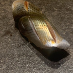 寿し おおはた - 