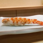 鮨 なんば - 車えび