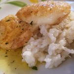 パリサンク - ◆「市場からの魚料理」アイナメのソテー＆リゾット