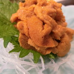 千代の追風 - 「生うに刺」1,800円