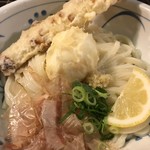 Udon Ubara - 