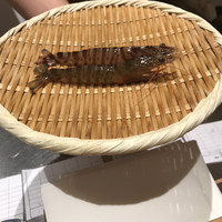 天ぷら 銀座おのでら 並木通り店 - 
