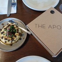 THE APOLLO - 