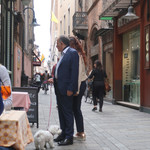 Al Cairoli - ワンちゃんは選べないけど