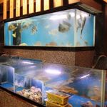 海鮮問屋 地魚屋 - 店内生け簀