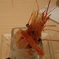 函館うに むらかみ 日本生命札幌ビル店 - 