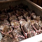 GINZA JOTAKI - 上海蟹(*´∇｀)ﾉ季節ですね。