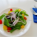 SHALLE TONNE - カラフルサラダ