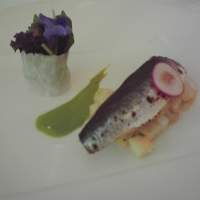 アルテリーベ - 鰯のマリネ　セロリと梨のソース
