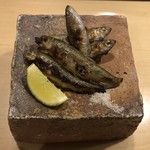 旬菜 おぐら家 - ほんもろこ炭火焼