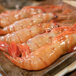 うを徳 - 2018.11 羽幌ボタン海老