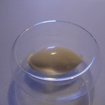 Restaurant Satoshi.F - 炭のアイス