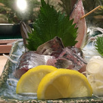 Fukuei Zushi - 鯵。アジフライもいいけど刺身も最高です。