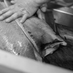 うを徳 - 牙鮃（ひらめ）の仕込（しこみ）