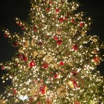 ル バー ラヴァン サンカンドゥ アザブ トウキョウ - 恵比寿のツリーは綺麗☆