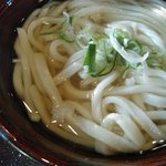 いりこぶ家 - かけうどん（中・アップ）
