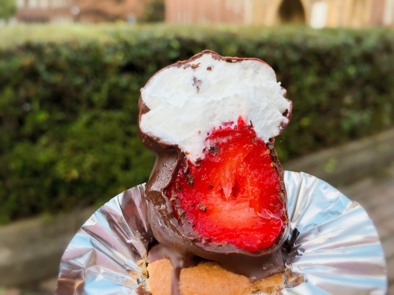 写真 2ページ目 オザワ洋菓子店 本郷三丁目 ケーキ 食べログ