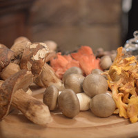 ラ・ビスボッチャ - 