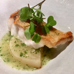 エニェ - ミーバイ(ハタ)と源助大根