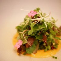 ボニュ - 30種の野菜サラダ