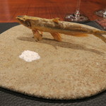 傳 - 30年11月　マッスルシシャモ