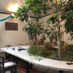 ハシゴカフェ キョウト - 湯船の上に大テーブル