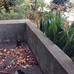 メツゲライクスダ - 落ち葉掃き（≧∇≦）