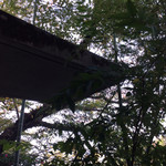 メツゲライクスダ - 魚釣り台は苔むして〜