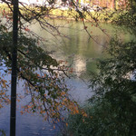 メツゲライクスダ - 鴨さん〜❣️