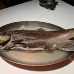 ブレストンコート ユカワタン - 